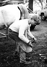 farrier
                          tending the hind